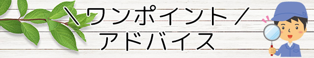ワンポイントアドバイス