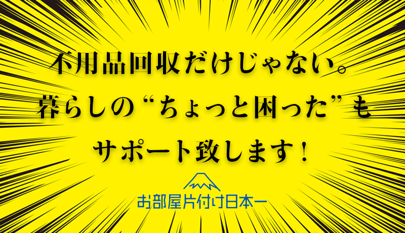 東京都 文京区 一軒家 家具の移動 電球取替 不用品回収